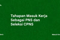 Tahapan Masuk Kerja Sebagai PNS dan Seleksi CPNS